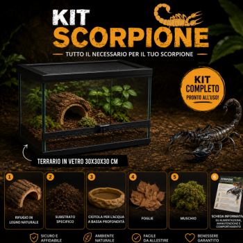 KIT COMPLETO SCORPIONE PLUS