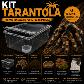 KIT COMPLETO TARANTOLA