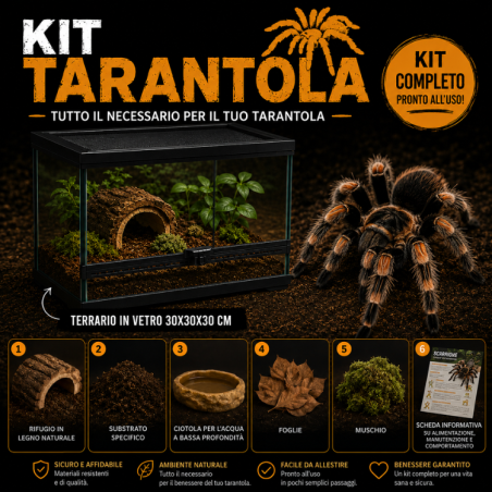 KIT COMPLETO TARANTOLA PLUS