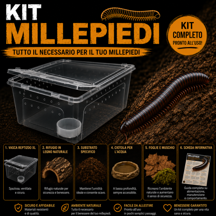 KIT COMPLETO MILLEPIEDI