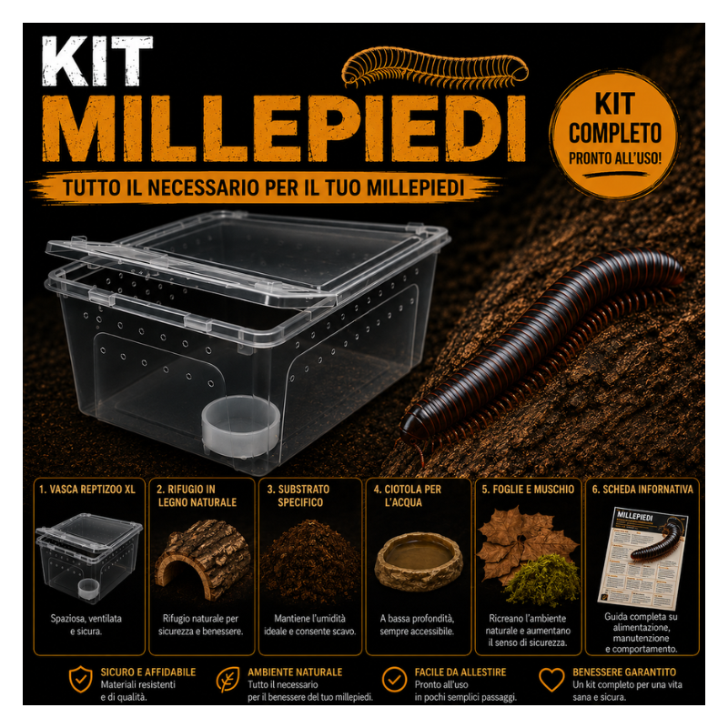 Kit Completo Millepiedi | Terrario e Accessori | ReptyFood Kit Completo Millepiedi | Terrario e Accessori | ReptyFood