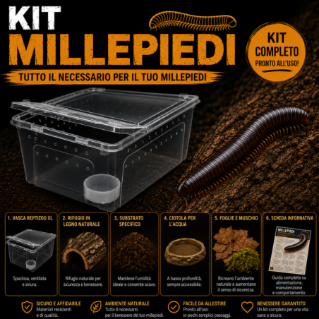 Kit Completo Millepiedi | Terrario e Accessori | ReptyFood