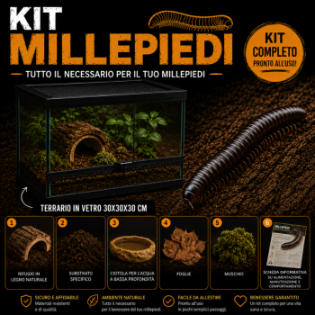 KIT COMPLETO MILLEPIEDI PLUS