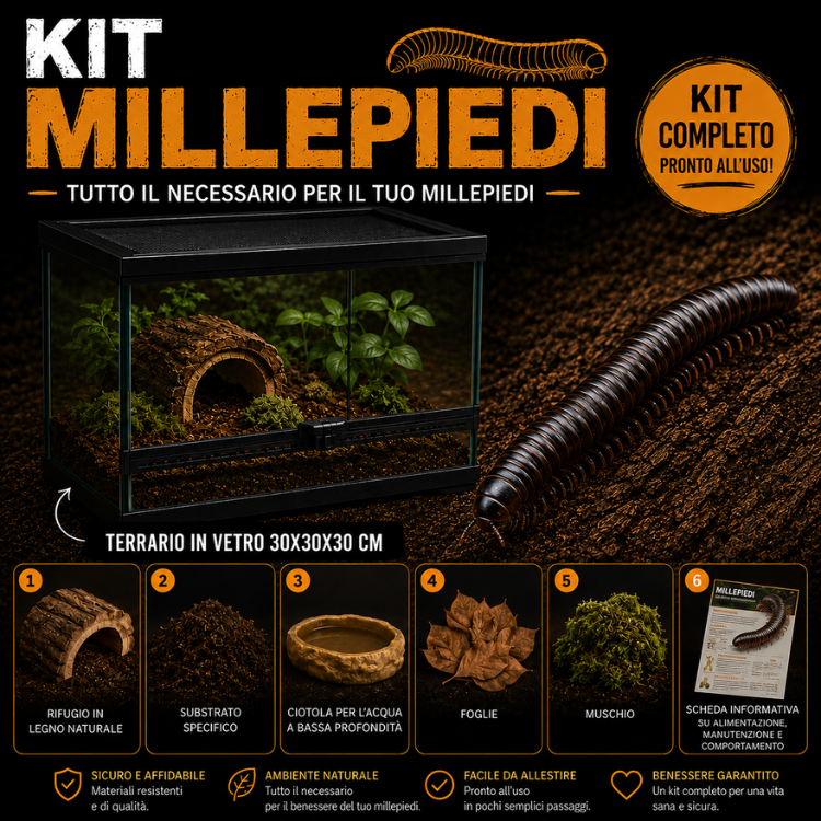 KIT COMPLETO MILLEPIEDI PLUS