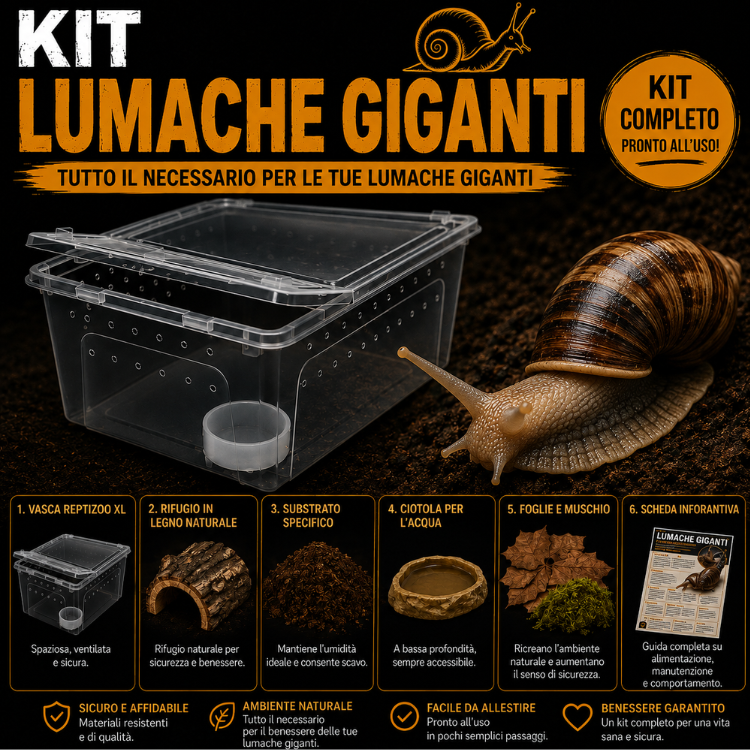 KIT COMPLETO PER ACHATINA FULICA