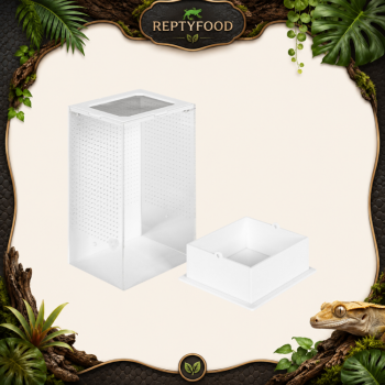 REPTIZOO MANTIS BOX - TERRARIO ACRILICO