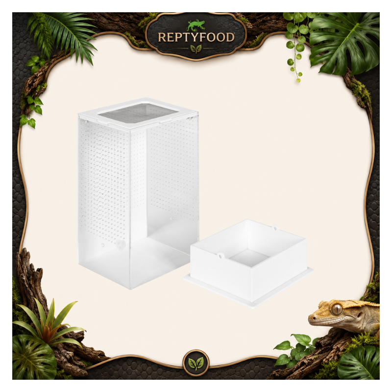 REPTIZOO MANTIS BOX - TERRARIO ACRILICO