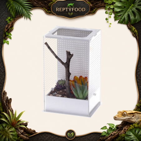 REPTIZOO MANTIS BOX - TERRARIO ACRILICO