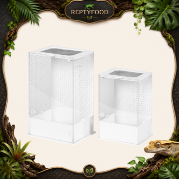 REPTIZOO MANTIS BOX - TERRARIO ACRILICO