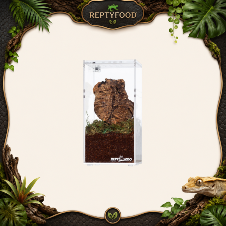 REPTIZOO TERRARIO ACRILICO 7,5x7,5x15cm