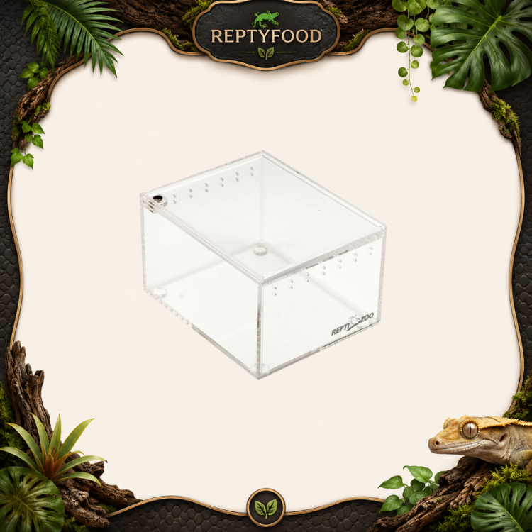 REPTIZOO TERRARIO IN ACRILICO 10x8x6 cm