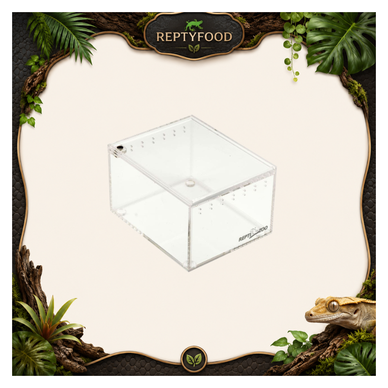 REPTIZOO TERRARIO IN ACRILICO 10x8x6 cm REPTIZOO TERRARIO IN ACRILICO 10x8x6 cm