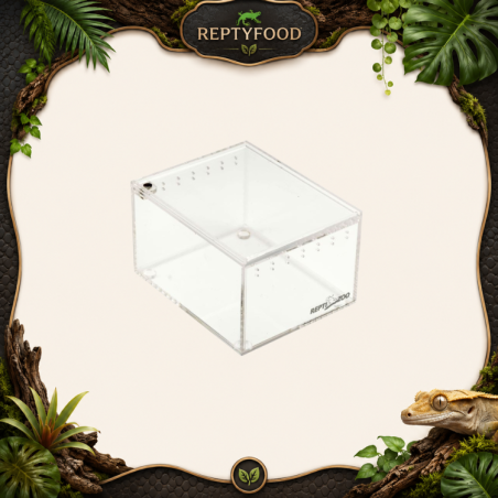 REPTIZOO TERRARIO IN ACRILICO 10x8x6 cm