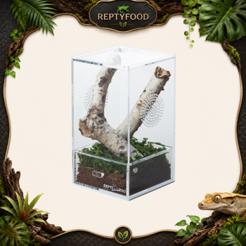 REPTIZOO TERRARIO ACRILICO 10X10X20cm