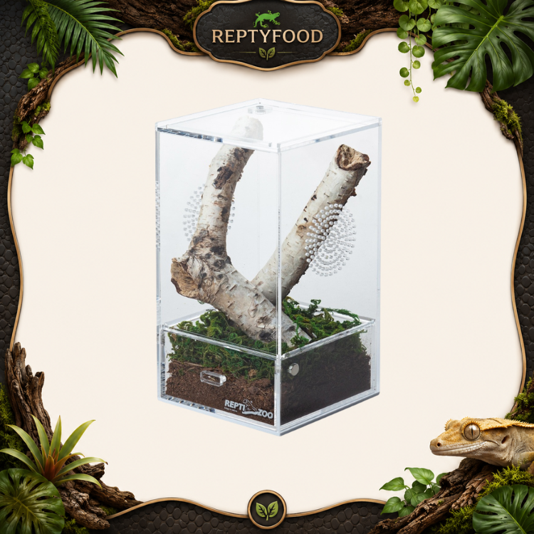 REPTIZOO TERRARIO ACRILICO 10X10X20cm