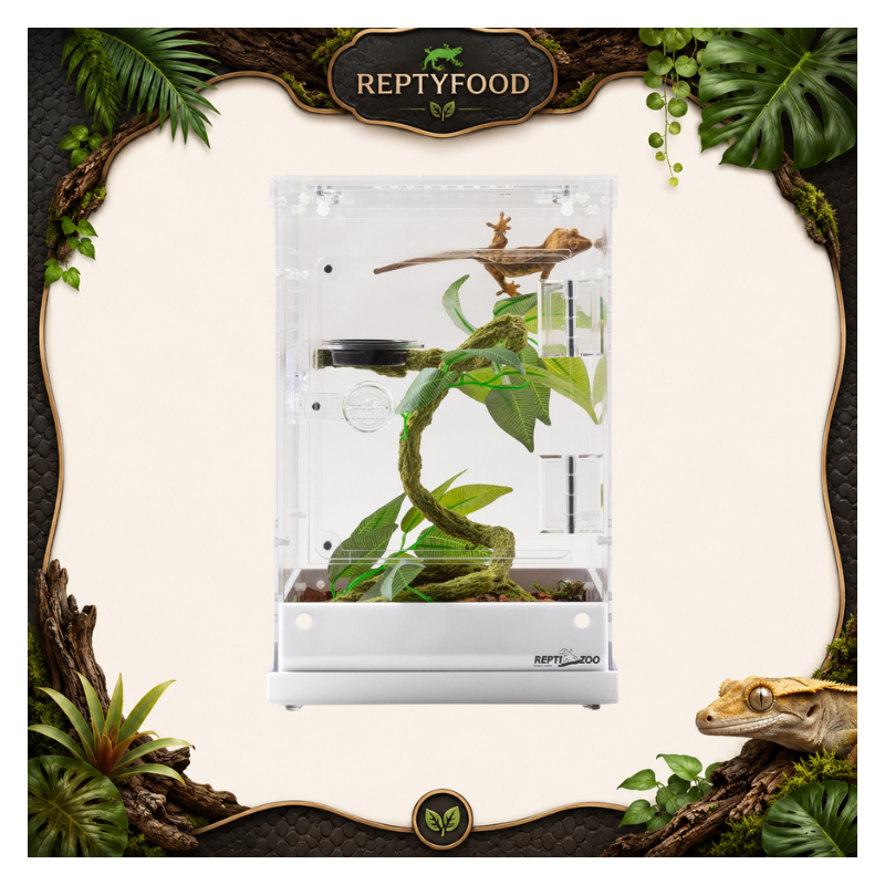 REPTIZOO TERRARIO ACRILICO 20X20X30cm REPTIZOO TERRARIO ACRILICO 20X20X30cm