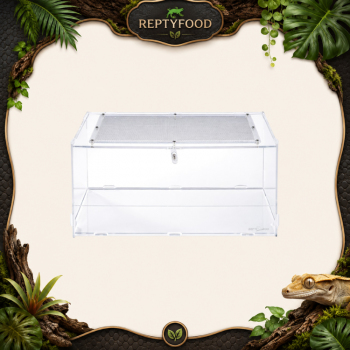 REPTIZOO TERRARIO ACRILICO 30X20X15cm