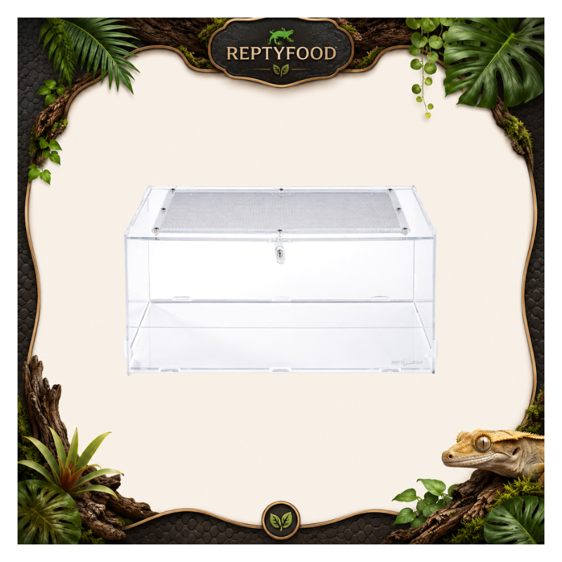REPTIZOO TERRARIO ACRILICO 30X20X15cm