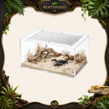 REPTIZOO TERRARIO ACRILICO 30X20X15cm
