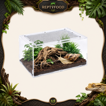 REPTIZOO TERRARIO ACRILICO 30X20X15cm