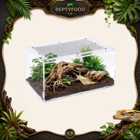 REPTIZOO TERRARIO ACRILICO 30X20X15cm