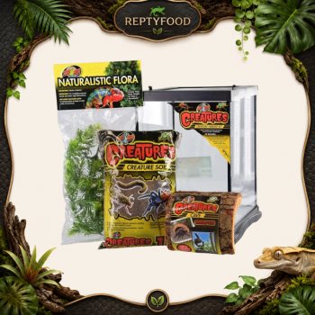 ZOO MED CREATURE HABITAT KIT 1 - SET COMPLETO PER ARTOPODI