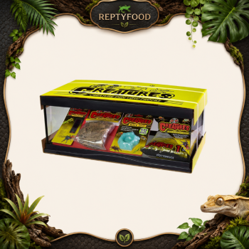 ZOO MED CREATURE HABITAT KIT 2 - SET COMPLETO PER ARTOPODI