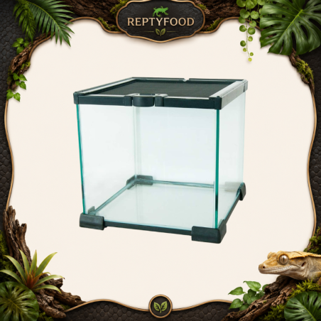 KOMODO NANO HABITAT - TERRARI0 IN VETRO 31x31x30 cm