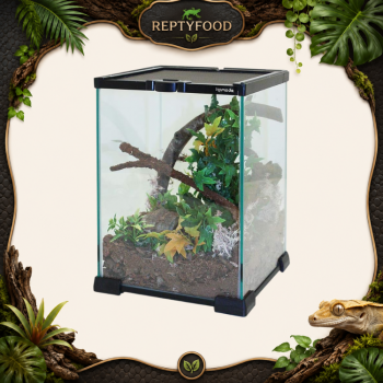 KOMODO NANO HABITAT - TERRARI0 IN VETRO 21x21x30 cm