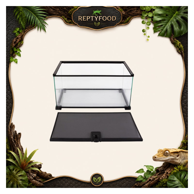 REPTYZOO TERRARIO IN VETRO 50,8x30,5x25,4cm - TERRARIO ASSEMBLABILE