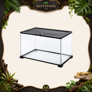 REPTYZOO TERRARIO IN VETRO 50,8x30,5x25,4cm - TERRARIO ASSEMBLABILE