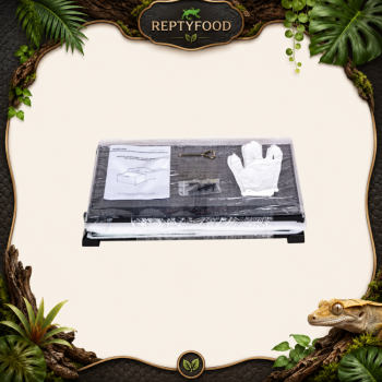 REPTYZOO TERRARIO IN VETRO 50,8x30,5x35,5cm - TERRARIO ASSEMBLABILE