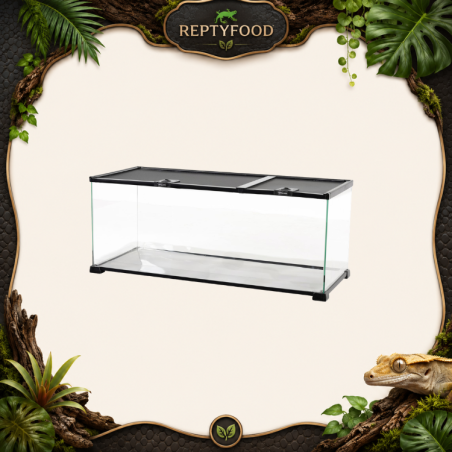 ReptiZoo Knock-Down Mini Glass Reptile Habitat l- Terrario compatto e sicuro