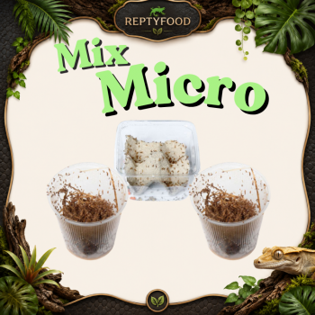 MIX DAY MICRO - DOSE GRILLI,DROSOPHILE HYDEI E MELANOGASTER