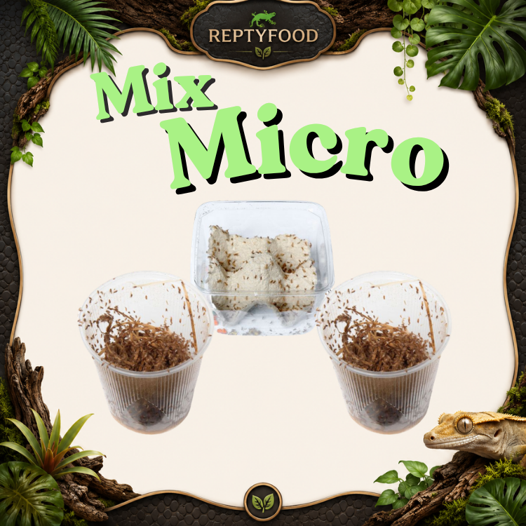 MIX DAY MICRO - DOSE GRILLI,DROSOPHILE HYDEI E MELANOGASTER
