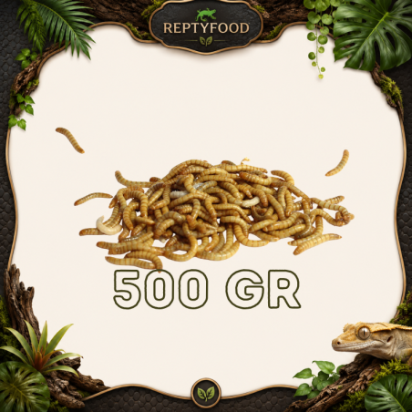 TARME DELLA FARINA 500 GR - INSETTI DA PASTO