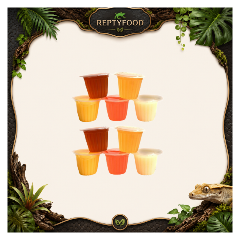 10 JELLY DI FRUTTA MIX - GELATINE DI FRUTTA PER ANIMALI