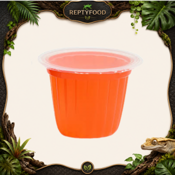 JELLY ALL'ARANCIA - GELATINE DI FRUTTA PER ANIMALI ESOTICI