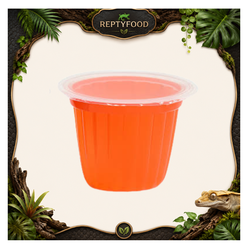 JELLY ALL'ARANCIA - GELATINE DI FRUTTA PER ANIMALI ESOTICI