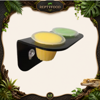 KOMODO PORTA JELLY