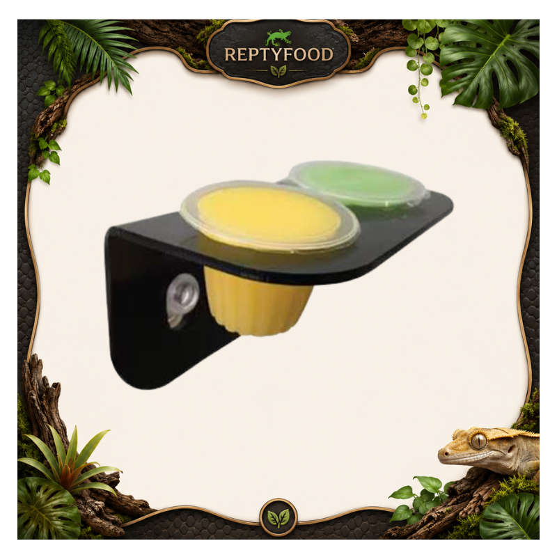 KOMODO PORTA JELLY