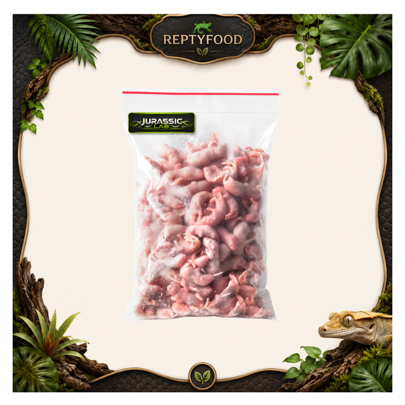 PINKY DI TOPO 25 PEZZI