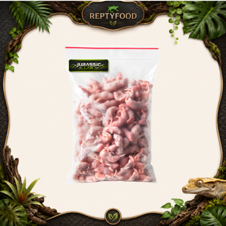 PINKY DI TOPO 25 PEZZI