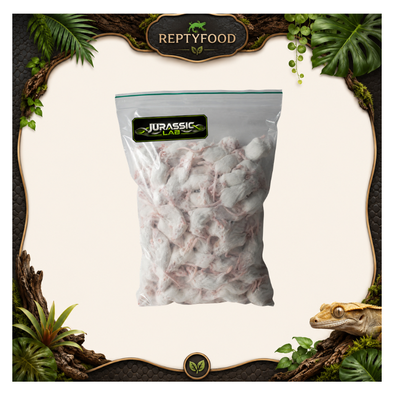 TOPO 7-10 gr 50 PEZZI