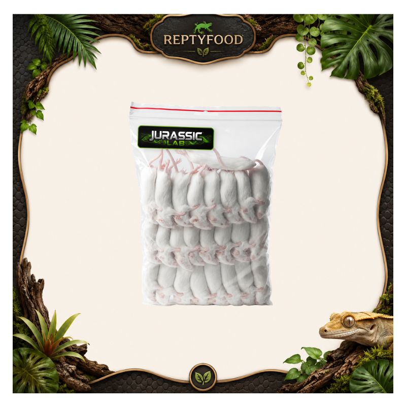 TOPO 11-15 gr 25 PEZZI