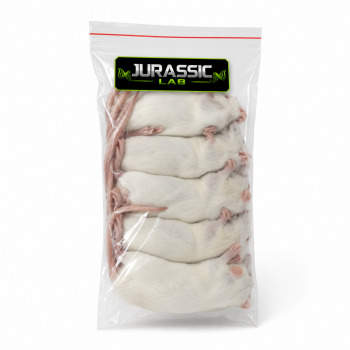 RATTI 30-50 GR 10 PEZZI