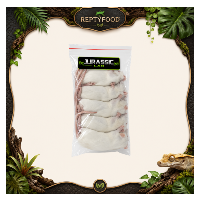RATTI 90-120 GR 5 PEZZI