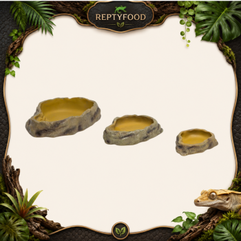 REPTIZOO FEEDING DISH - CIOTOLA PER IL CIBO