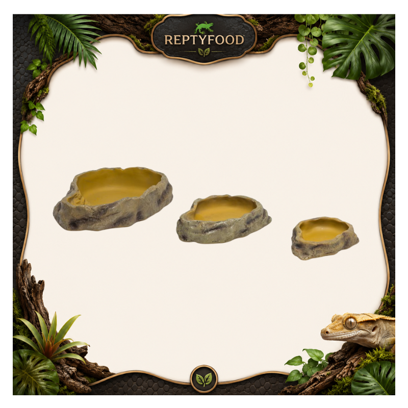 REPTIZOO FEEDING DISH - CIOTOLA  PER IL CIBO