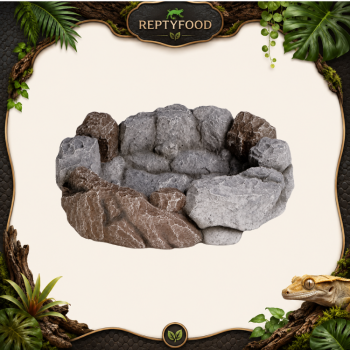 JURASSIC LAB  STONE BOWL - CIOTOLA FINTA ROCCIA